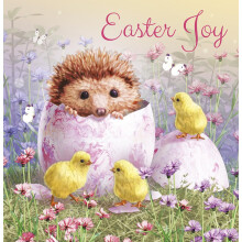 Noel Tatt Cute Easter Greeting Cards Pack of 6 - Easter Cards with Hedgehog and Chicks Design - General Multipack for Family, Friends and Children