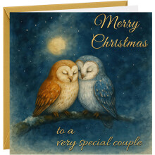Christmas Card For Special Couple 'Merry Christmas To A Very Special Couple' Xmas Cards Beautiful Owl Design 350gsm Hammered Card With Gold Foil &