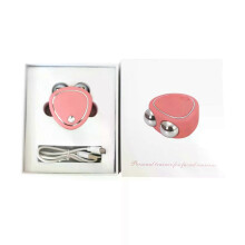 (Pink1) 2025 Facial Electric Face Lifting Roller Massager EMS Microcurrent Face Skin Tightening Rejuvenation Face Massage Skin Beauty Care