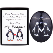 Merclix Anniversary Wedding Gifts for Him Penguin Pebble Anniversary Penguin Gifts for Her Funny Boyfriend Gifts Birthday Christmas Husband Gifts