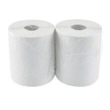 L LIKED Direct Thermal Labels with 250 Labels/Roll, Shipping Label 4" x 6"(101x152mm), Compatible with Zebra, MUNBYN, Rollo (2 Rolls)