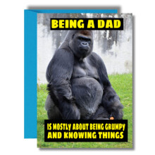 Funny Father's Day Card For Dad Daddy Stepdad For Him Birthday Card From Son or Daughter - Grumpy and Knowing Things F15