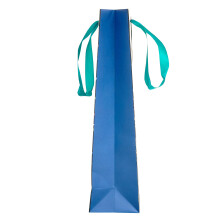 UK Greetings | Bottle Bag | Party/Gift Bag | Birthdays/Weddings/Christmas | Party Popper Design