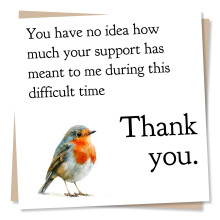 Heartfelt Robin Thank You Card - You Have No Idea How Much Your Support Has Meant To Me in This Difficult Time