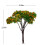 Artificial Tree Decor for Miniature Gardens Terrariums 2