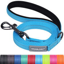 VIVAGLORY Dog Lead Dailyx Dog Leash, Lead with Soft Padded Handle for Training & Walking, Heavy Duty & Double Layer Nylon for Pet Puppy, 180 x 1.4cm