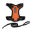 Voyager Step-in Lock Adjustable Cat Harness w. Cat Leash Combo Set with Neoprene Handle 5ft 1