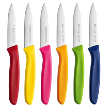 Ruffulon Stainless Steel Paring Knife Set of 6 With Ultra Sharp Blade for Fruits and Vegetables - Sturdy Anti-Slip Handle, Multicoloured