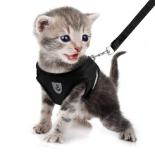 FEimaX Small Cat Dog Harness and Leash Set, No Pull Adjustable Pet Harness with Reflective Strips