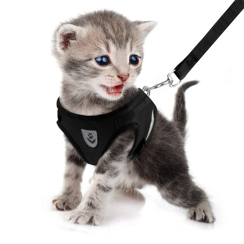 FEimaX Small Cat Dog Harness and Leash Set, No Pull Adjustable Pet Harness with Reflective Strips