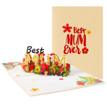 Mothers Day Card for Mum Pop up Greeting Card for Mom's Birthday from Daughter Son, Gifts for Mum Women Wife Includes Envelope and Note Tag