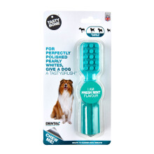 TastyBone TastyBrush Dental Nylon Dog Chew Toy (Fresh Mint) - Strong Healthy Teeth & Gums, Indestructible for Aggressive Chewers, Everlasting Flavour