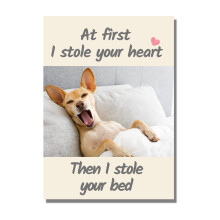 Cute, Funny Dog Birthday, Valentines, Mother's, Father's Day Card From Pet Dog To Dad, Mum, Mummy, Owner