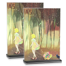 woshilaoDS A5 Acrylic Sign Holder Stands, 2 Pcs Menu Poster Holder Stand, Clear Acrylic Vertical Double Sided Plastic Display Stands for Documents