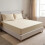 200 Thread Count 100% Egyptian Cotton Fitted Sheet 1