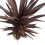 Leaf Leaf Design UK Artificial Tropical House Plant,Red,85cm 2