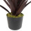 Leaf Leaf Design UK Artificial Tropical House Plant,Red,85cm 3