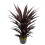 Leaf Leaf Design UK Artificial Tropical House Plant,Red,85cm 4