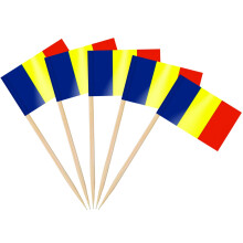 AhfuLife 100/200pcs Romania Toothpick Flags Cake Toppers, Romania Cocktail Stick Flag for Sandwich Food Cupcake Toppers Tableware World Cup Party