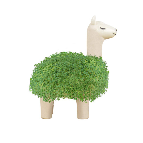 Gift Republic Llama Shaped Chia Planter, White