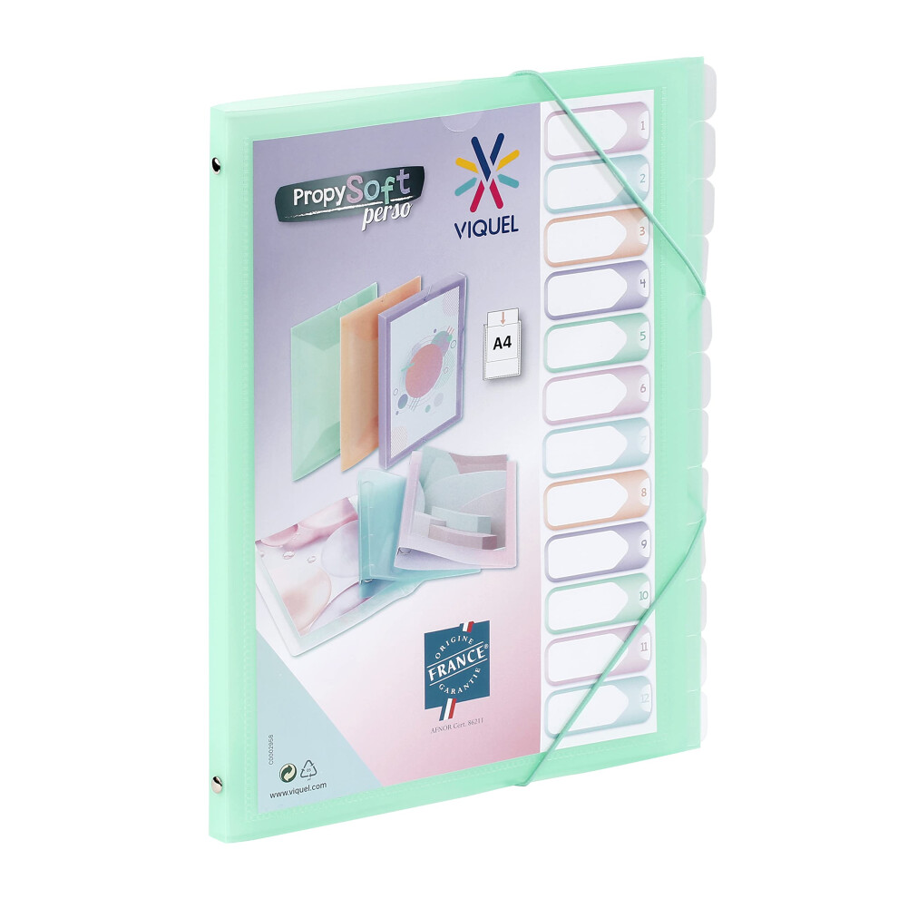 Photos - File Folder / Lever Arch File Viquel - Propysoft 12 Compartment A4 Customisable Organiser - Elastic Closure - Translucent Green
