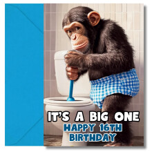 LimaLima 16th Birthday Card For Boys Funny It's A Big One Gift Perfect For Son Grandson Brother & Nephew