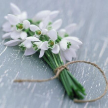 Sympathy Card - (GBCC1599) - 'Bunch of Snowdrops' by James Guilliam