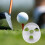 2-Pack Golf Putting Hole Green Training Practice 4