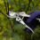 WOLF Garten Wolf-Garten Deluxe Bypass Pruners, Multicolored 2