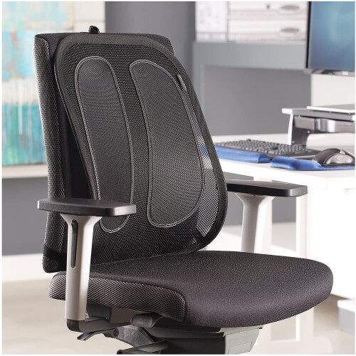 Fellowes Fellowes Office Suites Mesh Back Support for Office Chair with Tri-Tensioning 1
