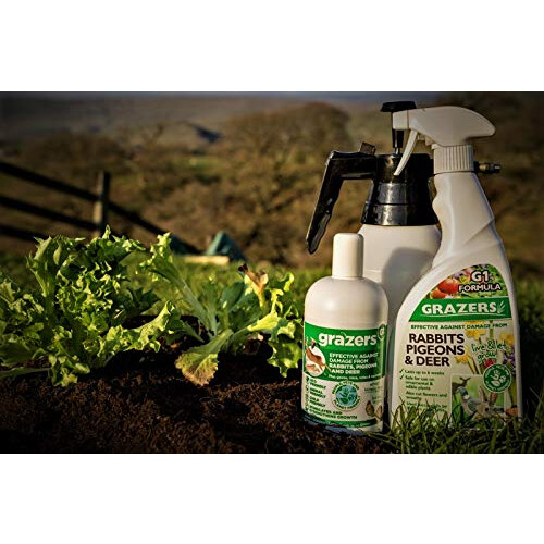 GRAZERS G1 RABBITS DEER 750ML RTU 1