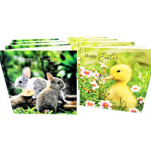 8 Happy Easter Cards with Envelopes – Bunny Rabbit & Duckling – Set of 8 Premium Easter Cards – 12x12cm – UK Designed