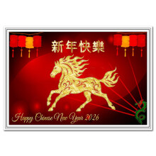 Chinese New Year Card 2026 - Year of the Fire Horse (17th Feb 2026 to 3rd Mar 2027) - Beautiful Flowers Red Lanterns - Happy Wishes