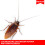 3 X Insectrol Insect Killer 250ml Aerosol 5
