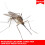 3 X Insectrol Insect Killer 250ml Aerosol 6
