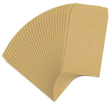 SZXMDKH 110 Pcs Small Brown Envelopes, Kraft Paper Seed Envelopes for Storing Small Items Seeds Coins Wages 10 x 6cm