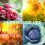 Doff Doff Multipurpose Controlled Release Fertiliser 1kg 5