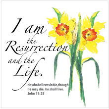 Religious Easter Cards - I Am The Resurrection, pack of 5, with white envelopes, with Bible verse inside these Christian Easter cards