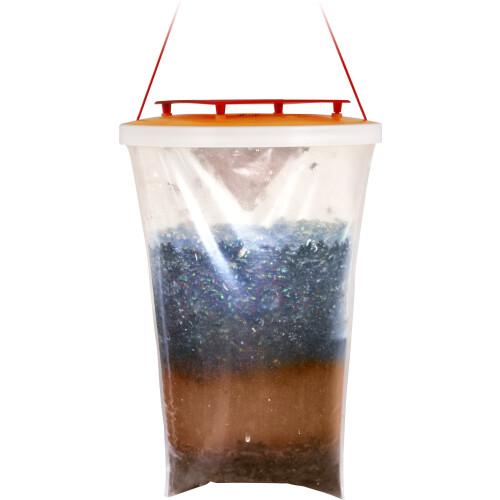 Redtop Fly Traps Original Redtop Fly Trap (Single Trap), Transparent