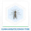Raid - Replacement for Electric Diffuser Anti Common Mosquitoes and Tiger Aroma Eucalyptus, 45 Nights, 1 Refill 2