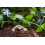 Vitax Stay Off MOLE Repellent 500GM 2