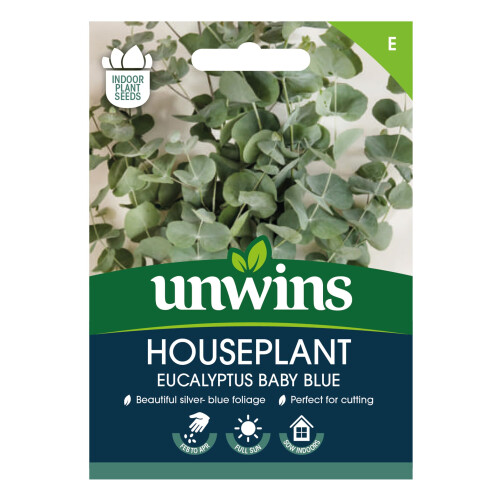 Unwins Houseplant Eucalyptus Baby Blue