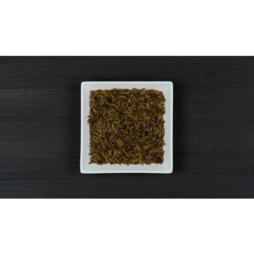 Dried MEALWORMS 1KG WORM1KG 2