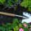 RHS Perennial Spade Small - FSC 100% 4