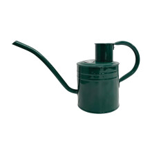 Kent & Stowe 2L Indoor/Outdoor Watering Can in Forrest Green, Rust-Resistant Galvanised Watering Can with Handle and Long Spout, C