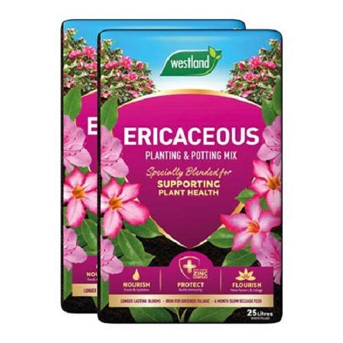 Westland Westland Ericaceous Planting & Compost Potting Mix 25 Litre