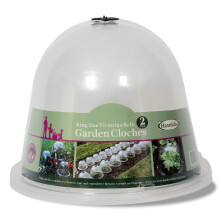 Haxnicks 2 x King size Victorian Bell Garden Cloche Plant Protection | Growing Vegetable | Specimen Plants | Transparent, 31 x 40