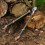 KS Surecut All Purpose Bypass Lopper 3