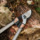 KS Surecut All Purpose Bypass Lopper 4