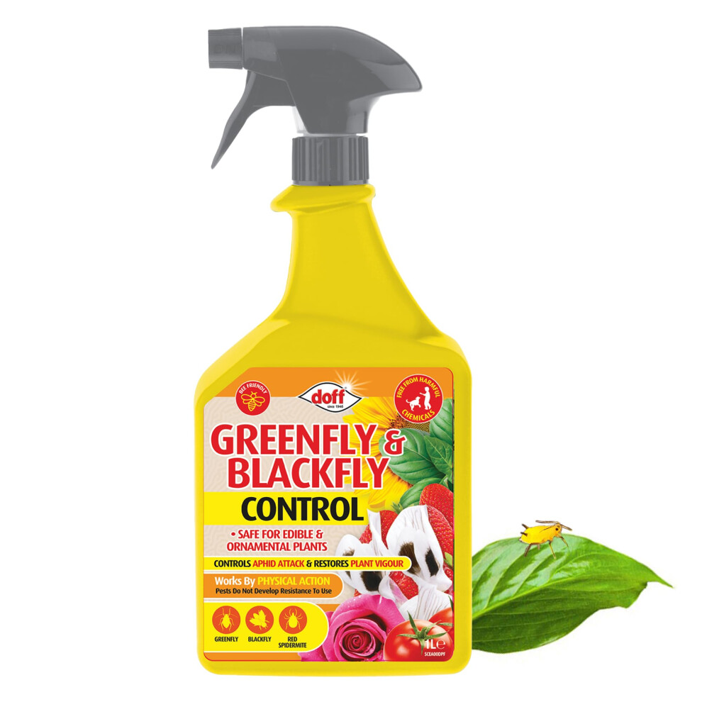 Doff Greenfly & Blackfly Control – 1L Pest Spray For Garden And Greenhouse – Aphid, Whitefly & Spider Mite Repellent – Protects Edible & Ornamen